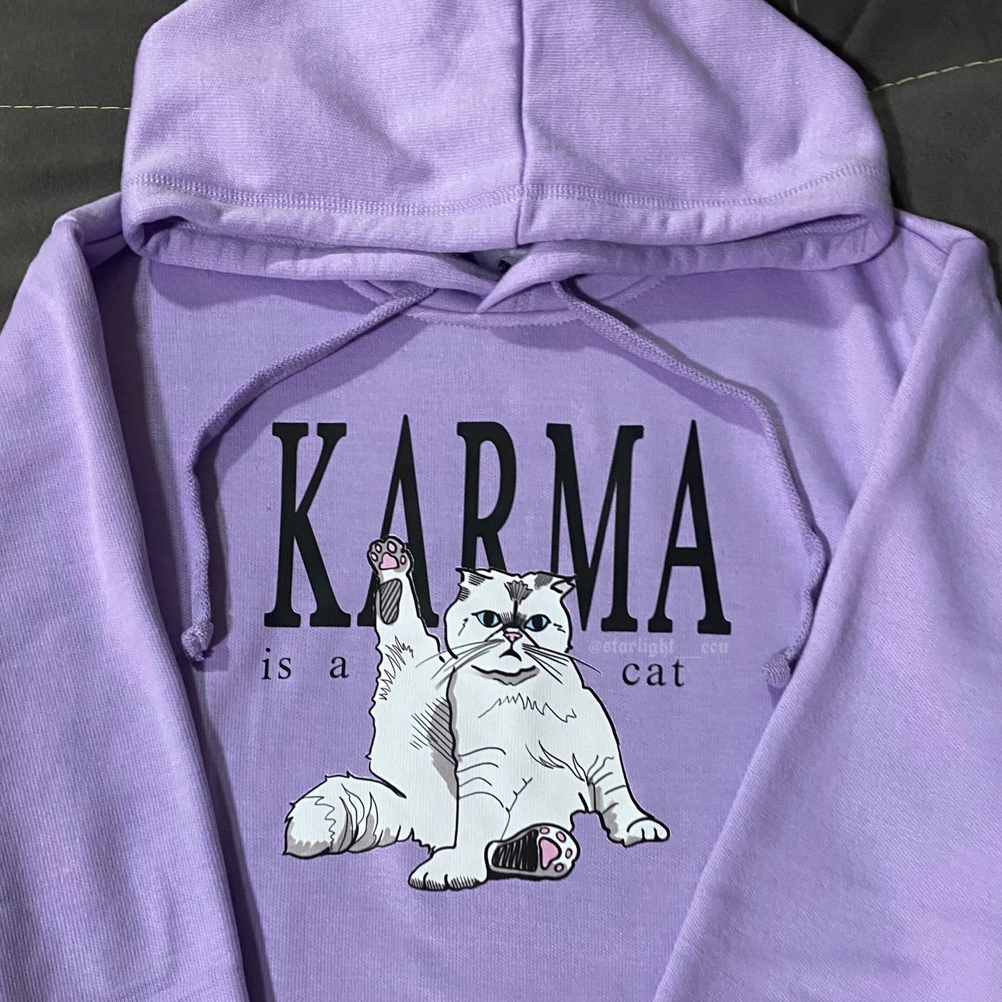 Hoodie karma is a cat midnights