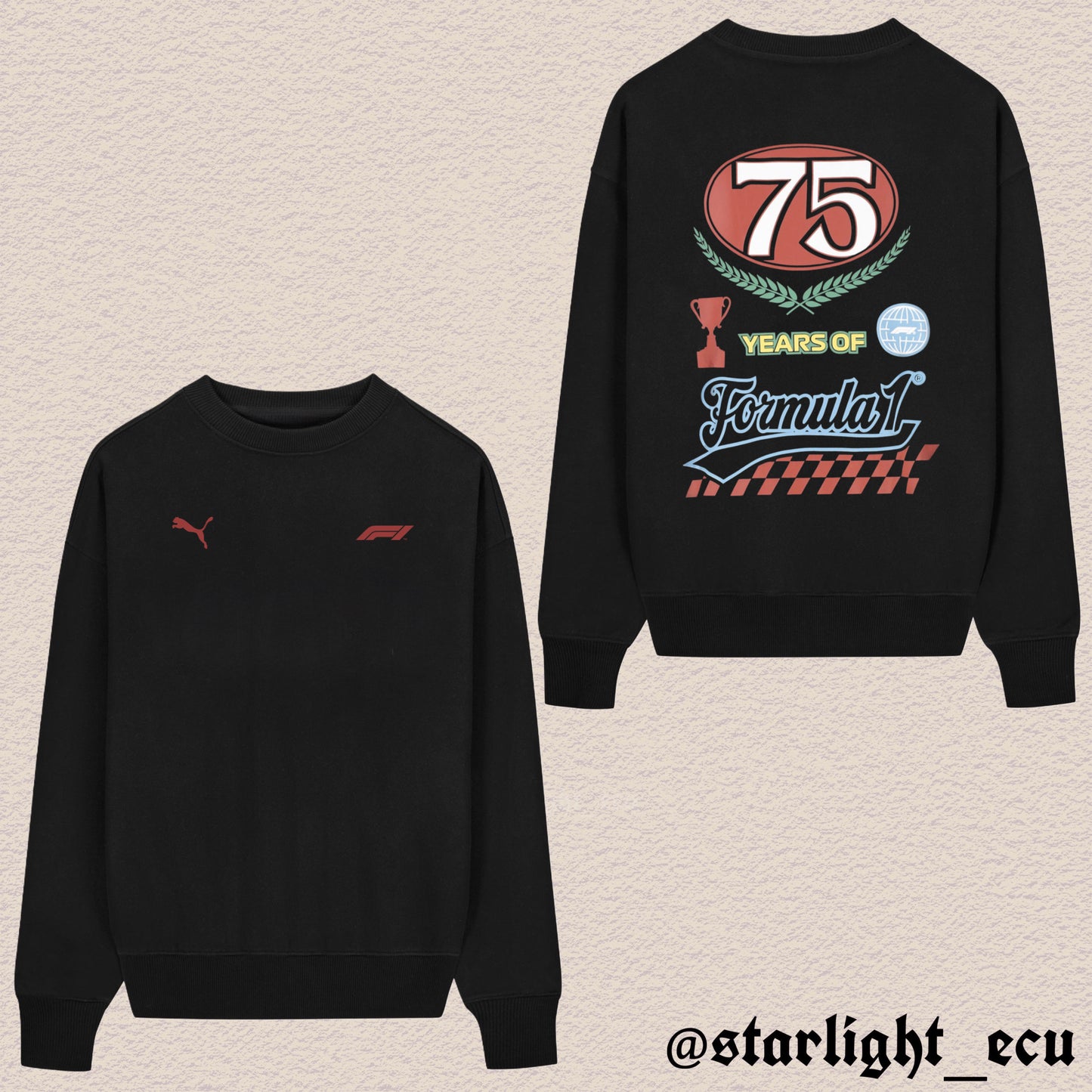 Hoodie Formula 1