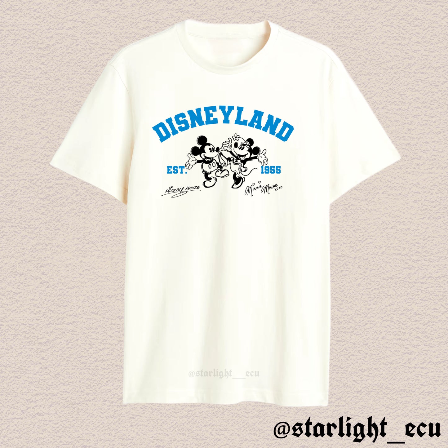 Camiseta Disneyland colores