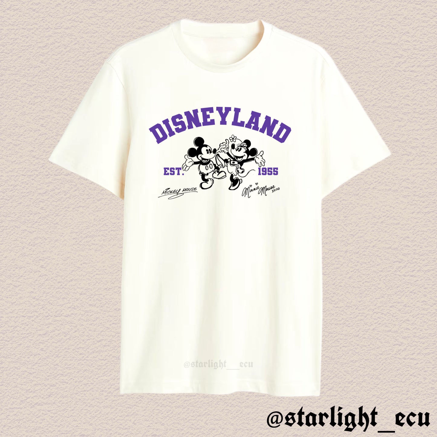Camiseta Disneyland colores