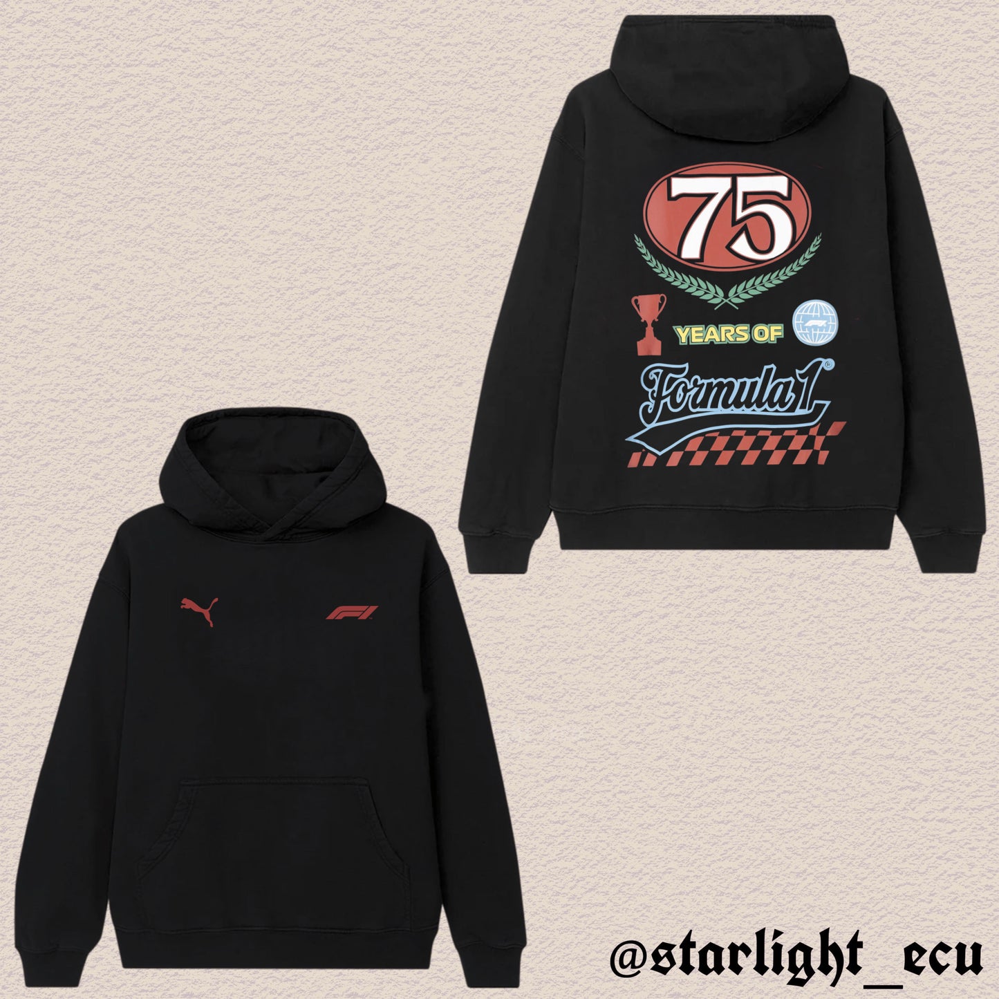 Hoodie Formula 1