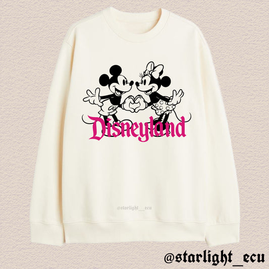 Buzo disneyland