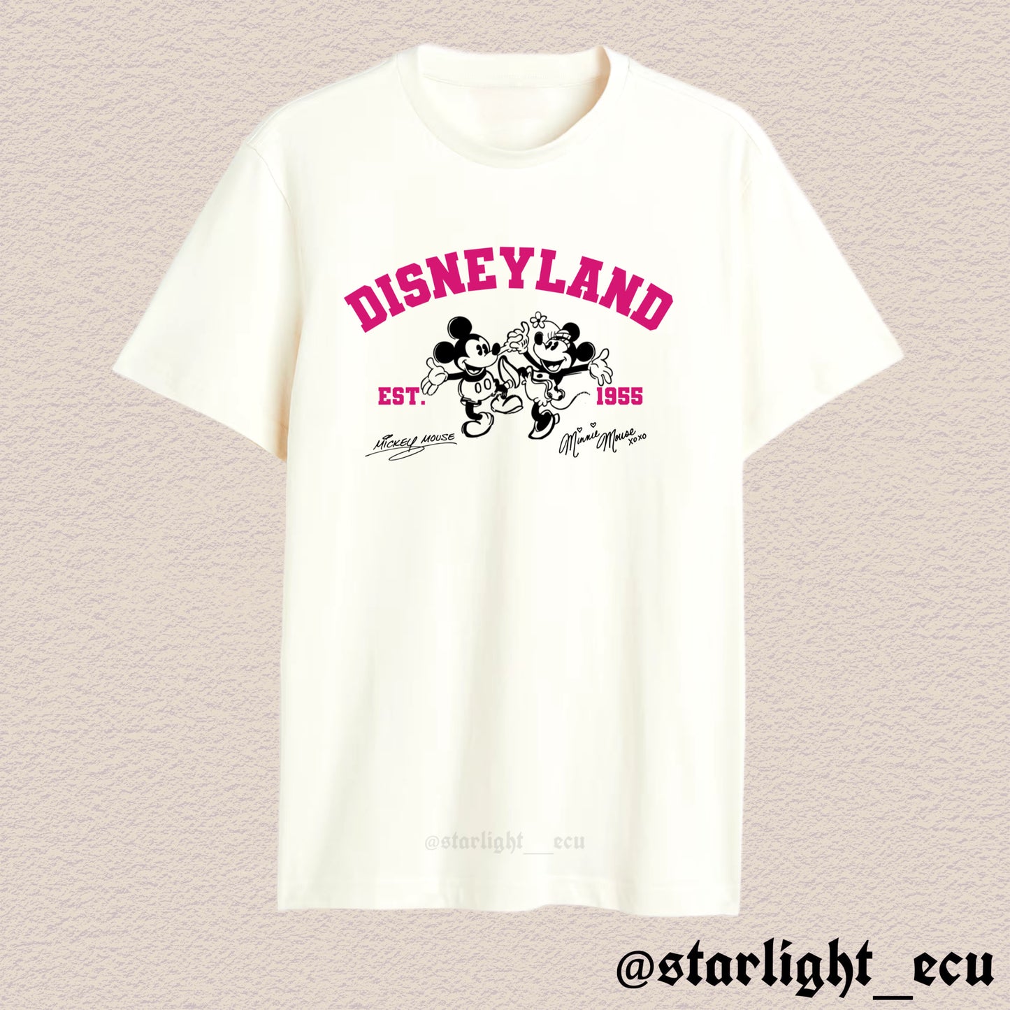 Camiseta Disneyland colores
